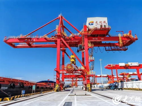 金融活水澆到根上，保險潤澤孔孟大地花繁果碩